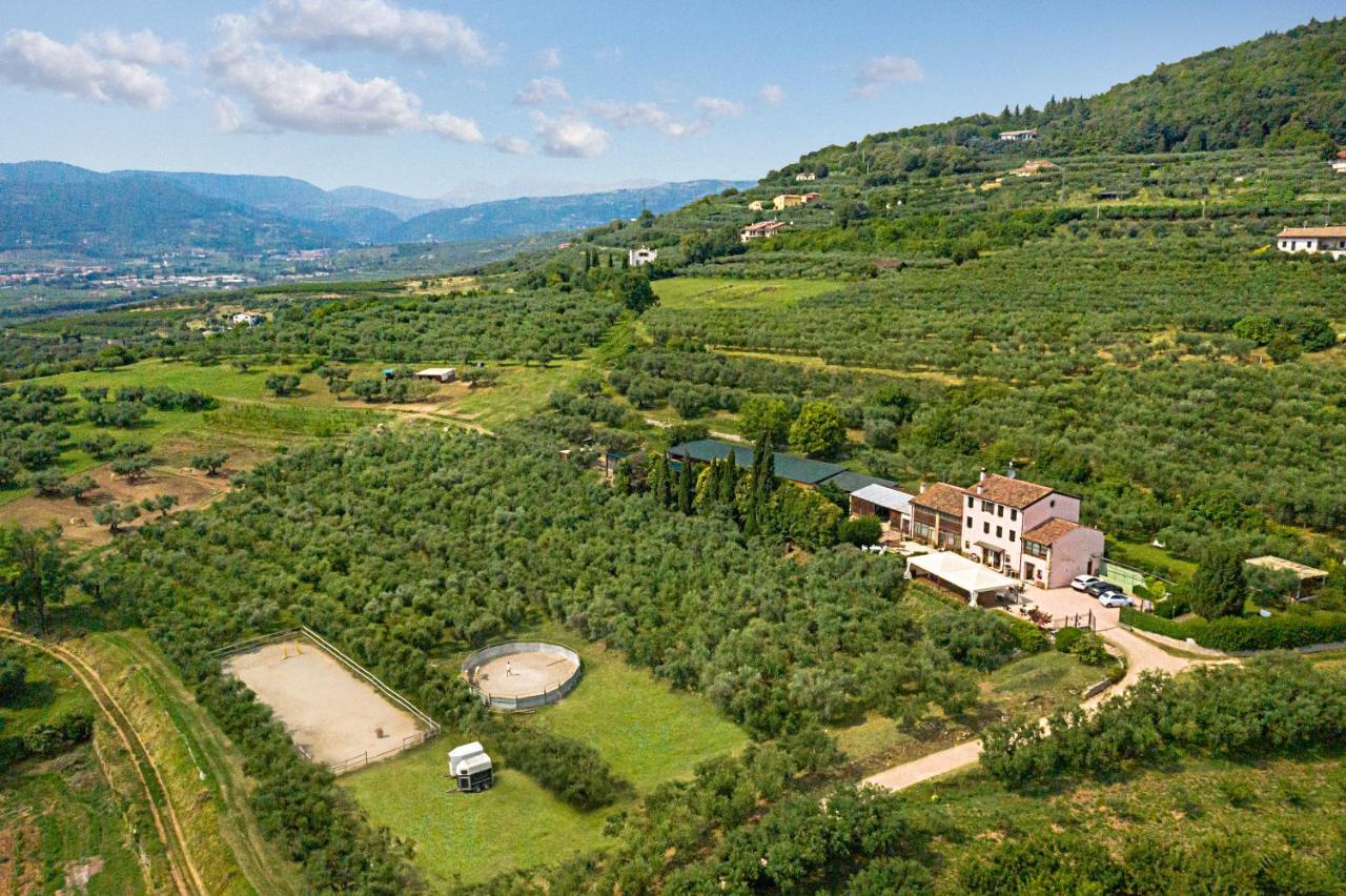 Agriturismo Casa Rosa Верона Екстер'єр фото