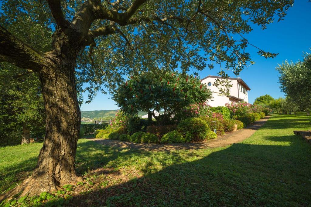Agriturismo Casa Rosa Верона Екстер'єр фото